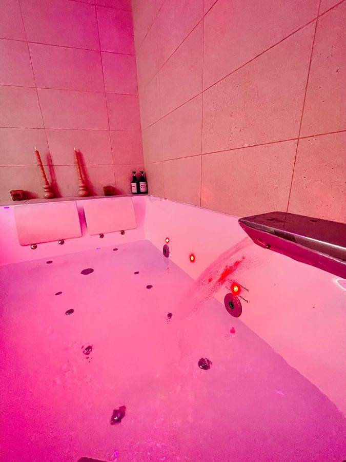 Gîte pour 2 personnes, avec jacuzzi, animaux acceptés à Tournon-sur-Rhône - 3