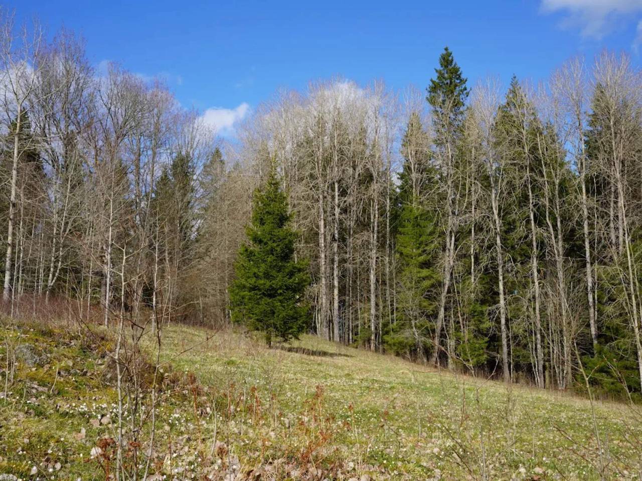 5 Personen Ferienhaus in Tenhult/Jönköping in Jönköping, Jönköpings län