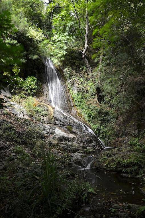 Location de vacances pour 6 personnes, avec terrasse ainsi que jardin et piscine à Venzolasca - 4