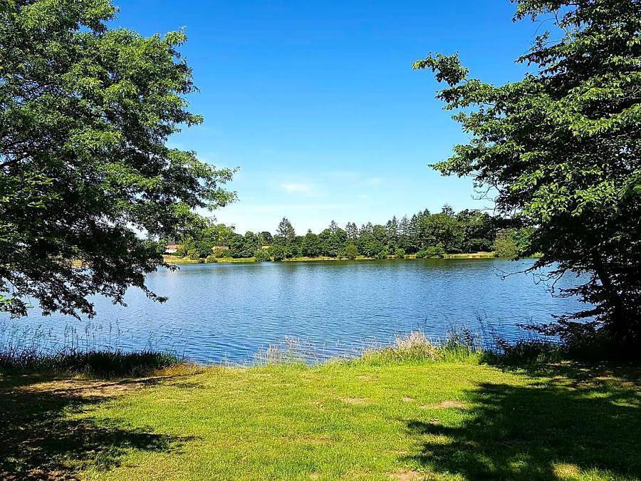 Camping Les Ecossais - Landhaus 4 personen - Ferienwohnung 2/4 Personen in Isle-et-Bardais, Montluçon und Umgebung