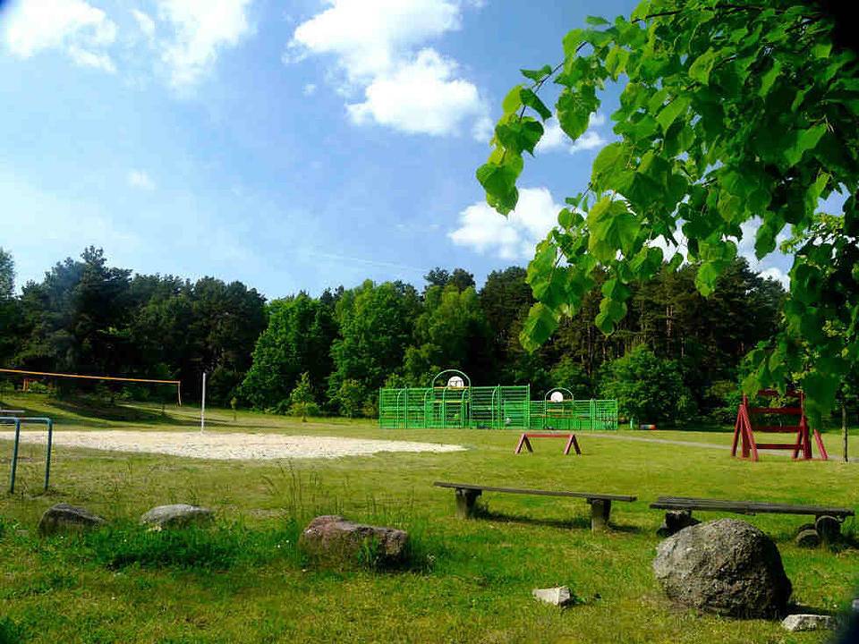 Moorfrosch in Userin, Mecklenburg-Strelitz