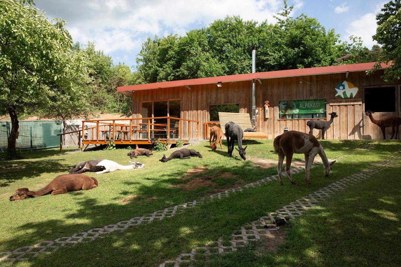 One-Bedroom Chalet in Pirk, Naturpark Nördlicher Oberpfälzer Wald