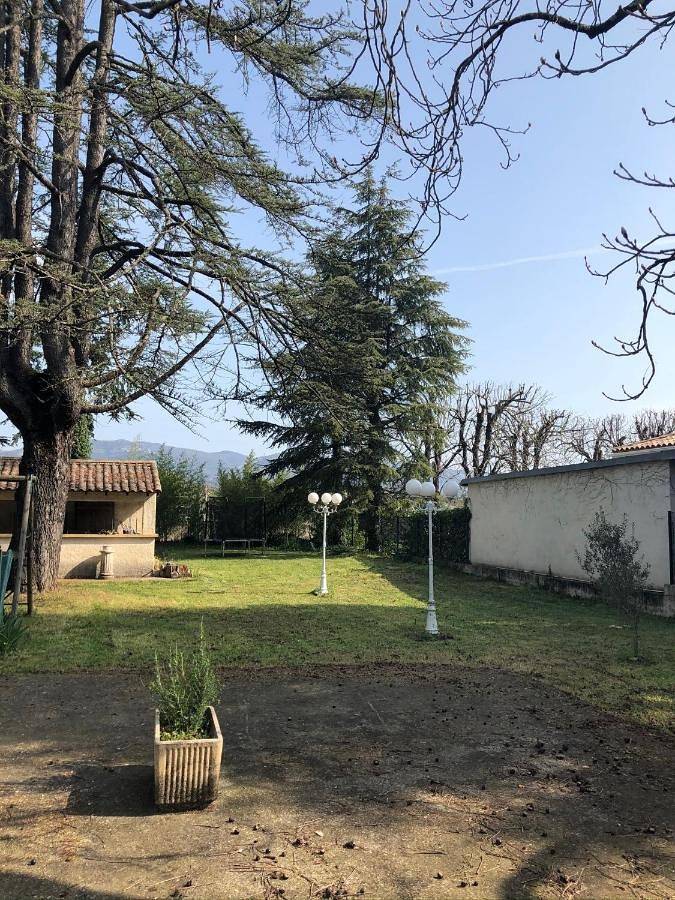 Le Parc aux Cedres in Laroque (Hérault), Région de Lodève