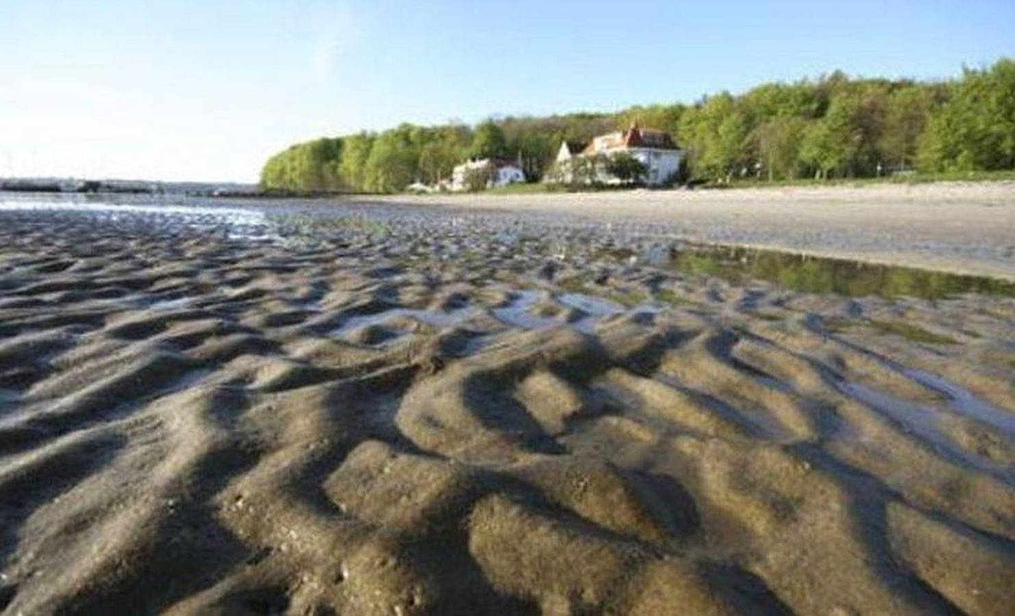"Das Wassersleben" in Wassersleben, Harrislee