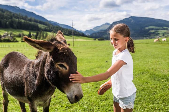 Ferienhaus für 4 Personen, mit Garten in Mauterndorf - 2
