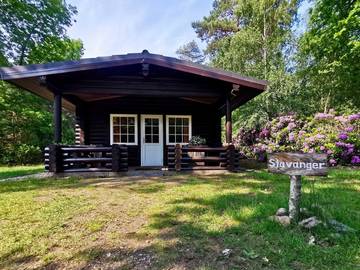 Bungalow voor 4 Personen in Holten, Twente, Afbeelding 3