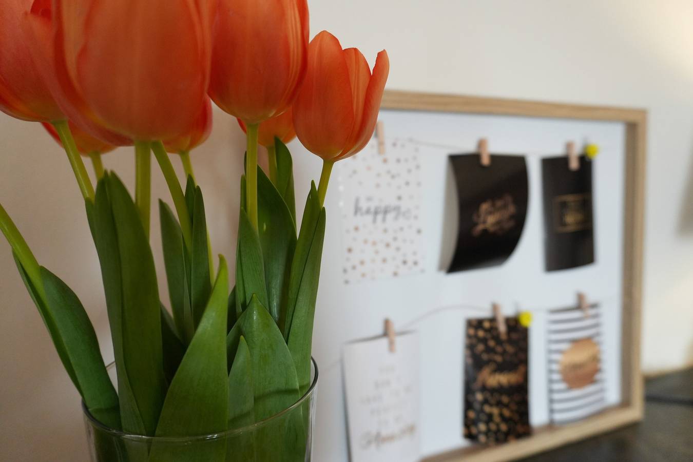 Ganzes Studio, Haevn am Meer, Zimmer Auszeit in Reußenköge, Nordseeküste