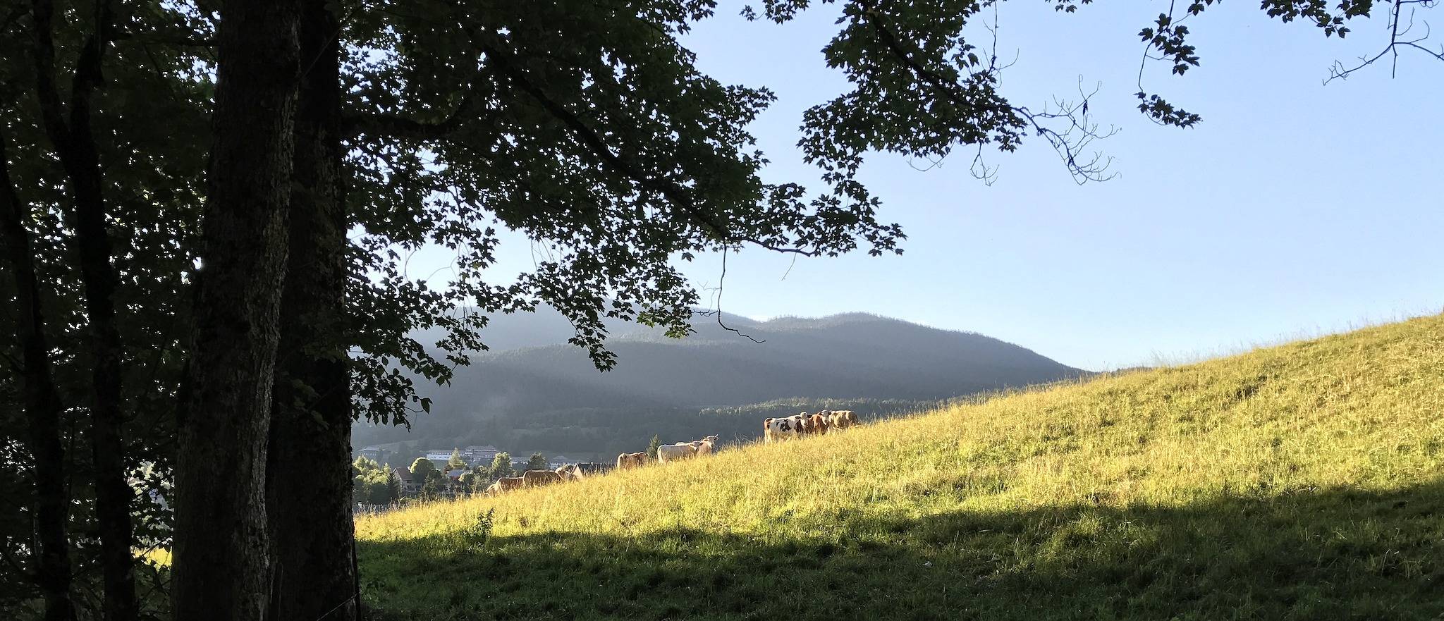 Appartement entier, Appartement de vacances pour 4 personnes in Autrans-Méaudre-en-Vercors, Parc naturel régional du Vercors