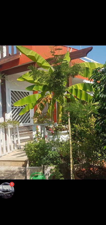 Ferienhaus für 4 Personen, mit Terrasse - 1