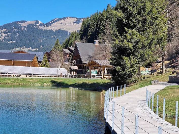 Gîte pour 19 personnes, avec terrasse et vue sur le lac ainsi que jardin et sauna, animaux acceptés à Chatel