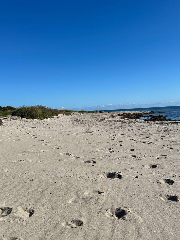 Ferienwohnung für 4 Personen, mit Garten und Terrasse, kinderfreundlich in Westfehmarn - 3