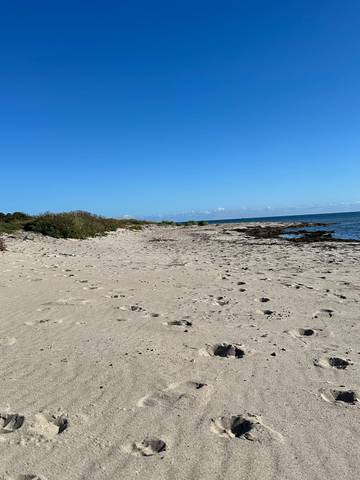 Bauernhof für 4 Personen in Mittelfehmarn, Fehmarn, Bild 2