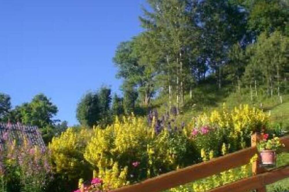 Appartement entier, Très agréable gîte  92 m²   10 / 12 personnes  300 M des pistes de ski  navette in Valloire, Région de Saint-Jean-de-Maurienne