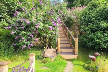 B&b for 2 People in Shepton Mallet, Somerset, Photo 4