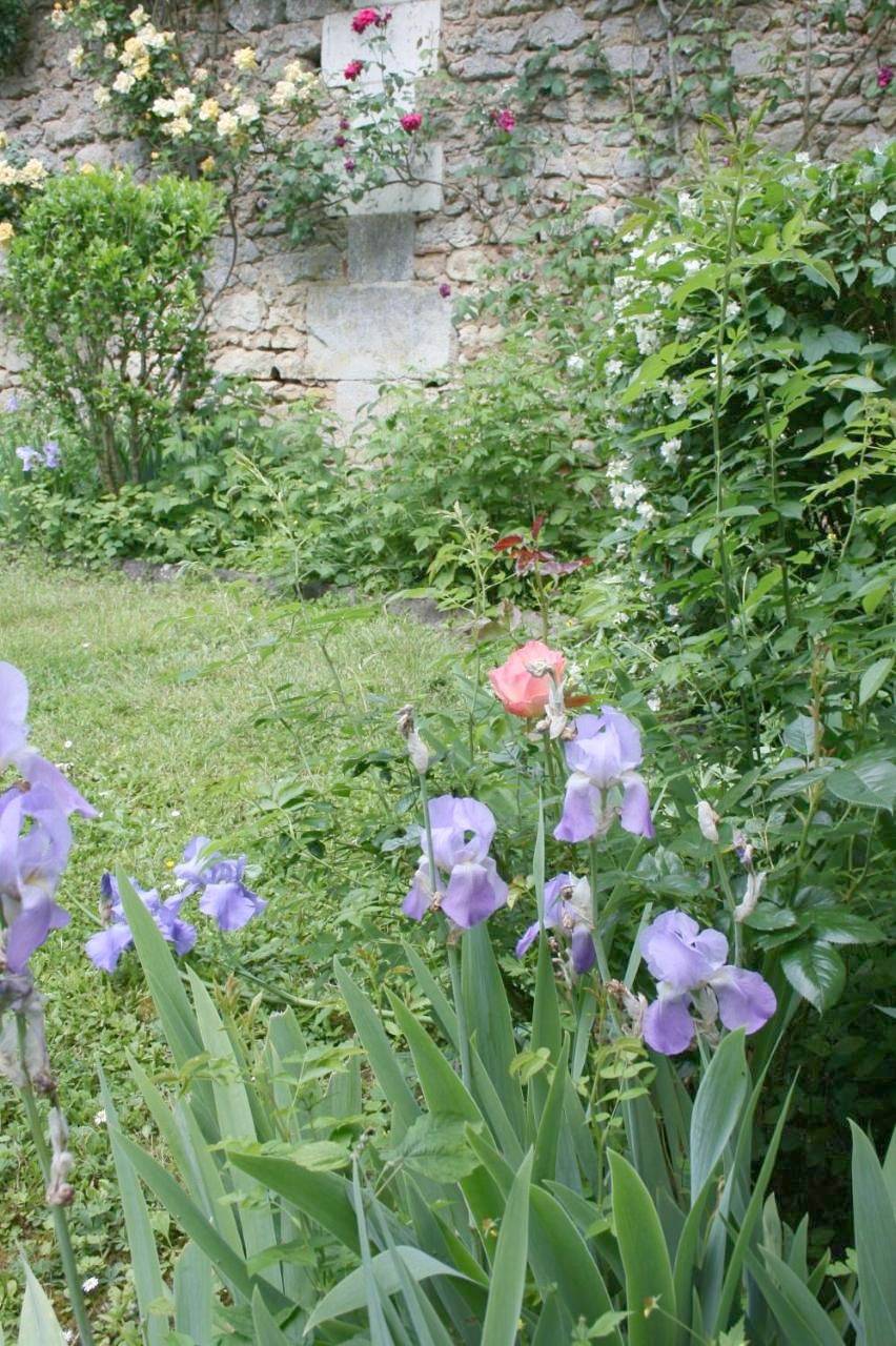 Four-Bedroom House in Chaumont-sur-Loire, Région de Blois