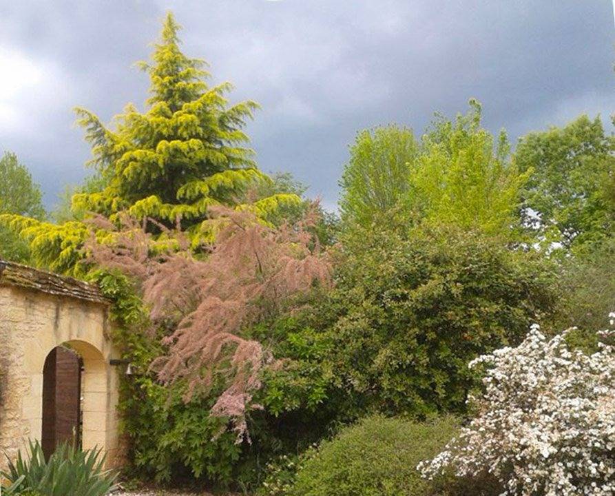 Situation idéale pour visiter le Périgord in Bars, Périgord Noir