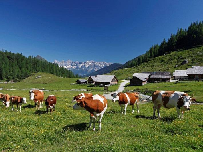 Ferienwohnung für 5 Personen, mit Balkon in Schladming - 2