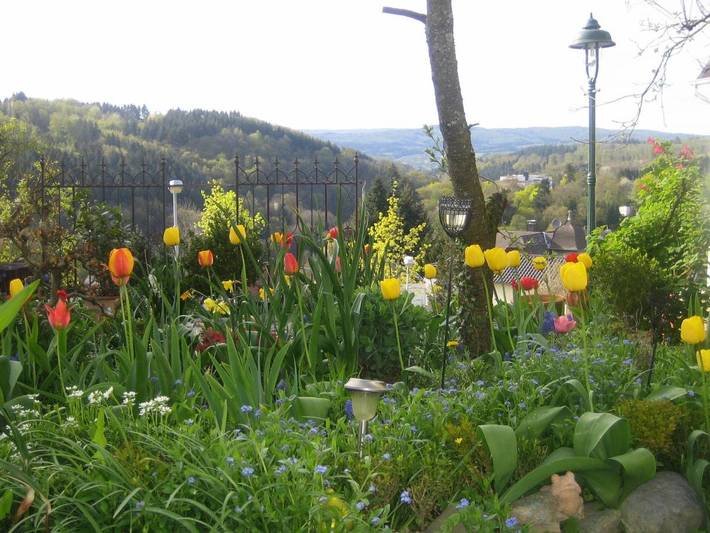Ferienwohnung für 4 Personen, mit Terrasse und Garten sowie Sauna und Ausblick in Braunfels - 3