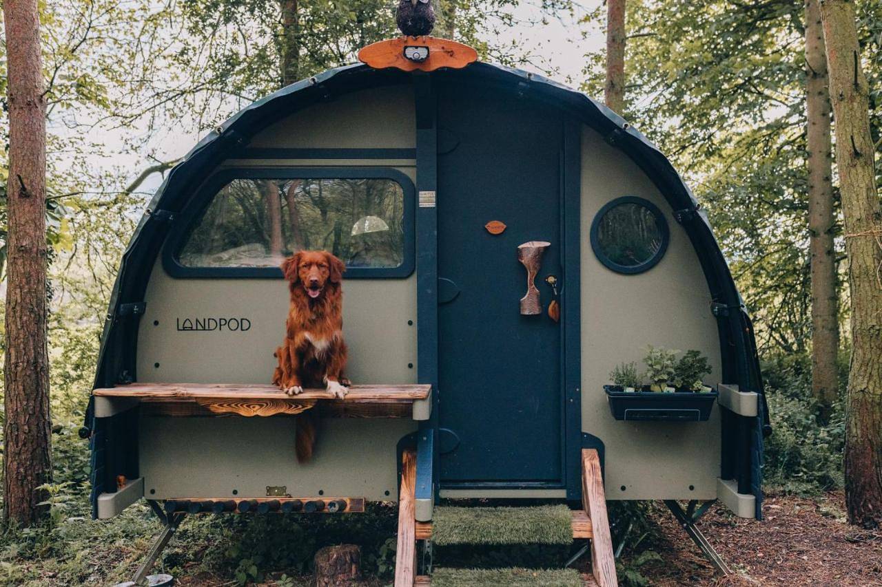 Basecamp in Harborough, Heart of England