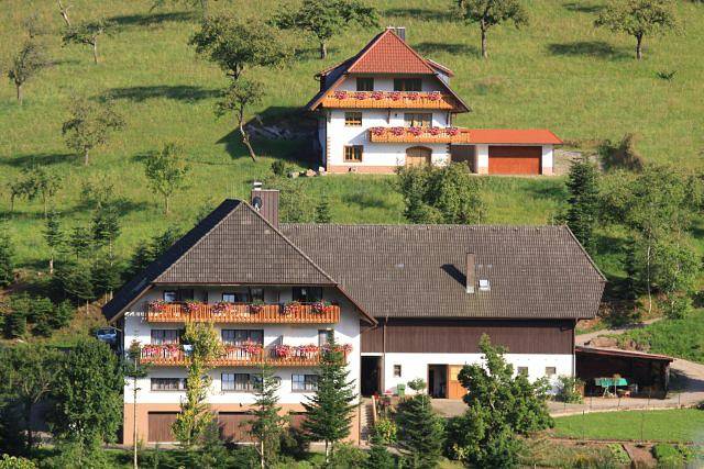 Ferienwohnung für 2 Personen, mit Terrasse in Oberharmersbach - 2