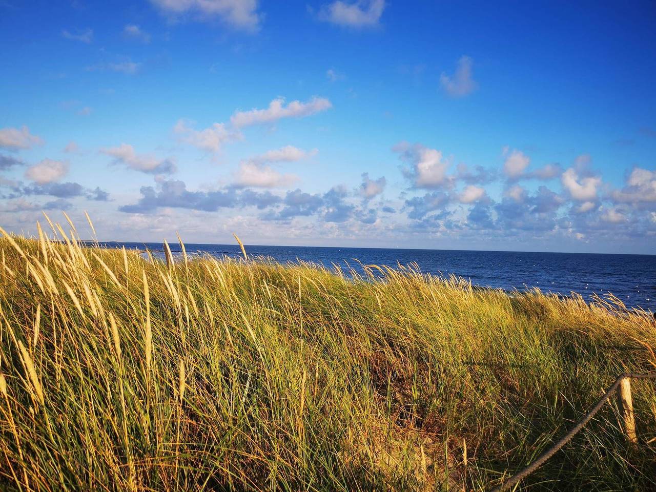 Reetgedecktes Cottage mit Spa in Blavand, Varde