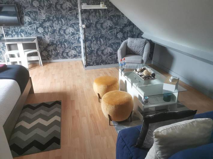 Location de vacances pour 4 personnes, avec jardin ainsi que terrasse et vue à Villefranche-sur-Cher - 4