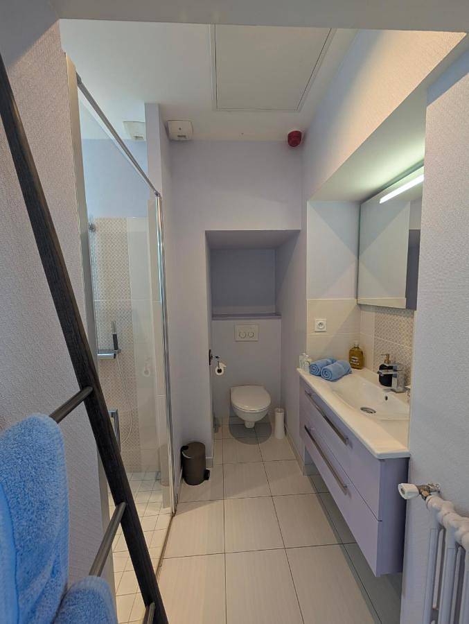 Hôtel pour 13 personnes, avec terrasse et jardin dans Loire-Authion - 2