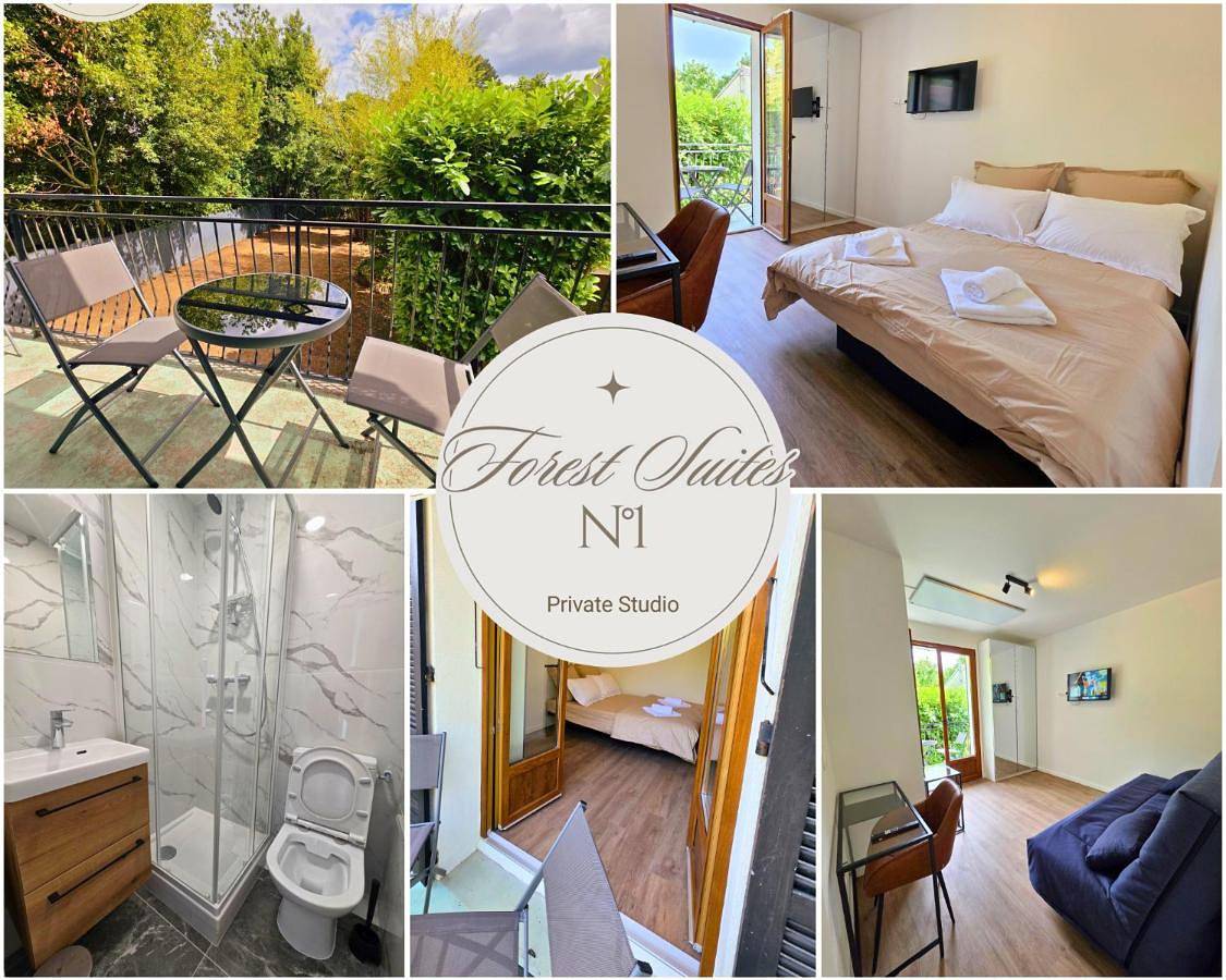 Forest Suites, 12 Studios, Paris et Disney in Noisy-le-Grand, Seine-Saint-Denis