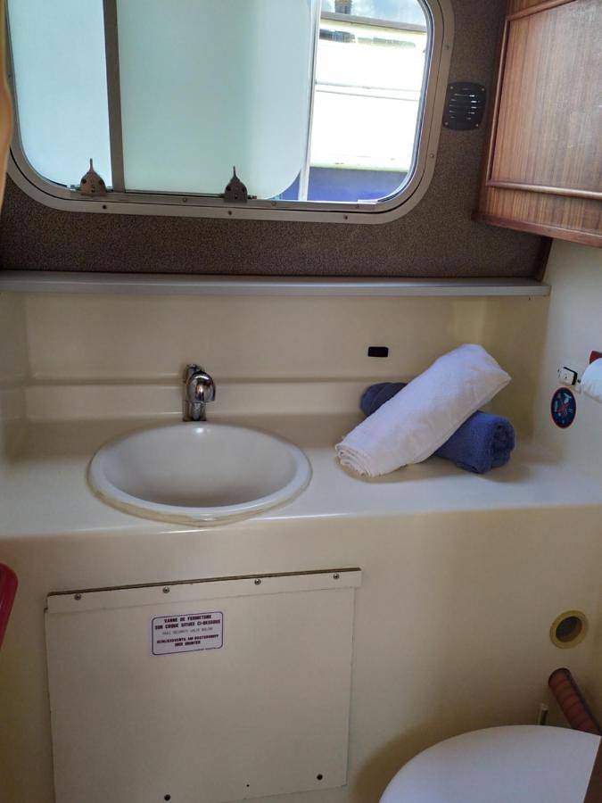 Bateau pour 5 personnes, avec terrasse et vue, animaux acceptés en Bourgogne-Franche-Comté - 4
