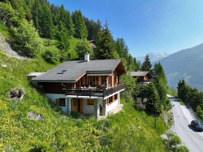 Location de vacances pour 6 personnes, avec jardin, animaux acceptés dans Grimentz - 4