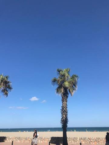 Gîte pour 2 personnes, avec balcon, animaux acceptés dans Canet-Plage