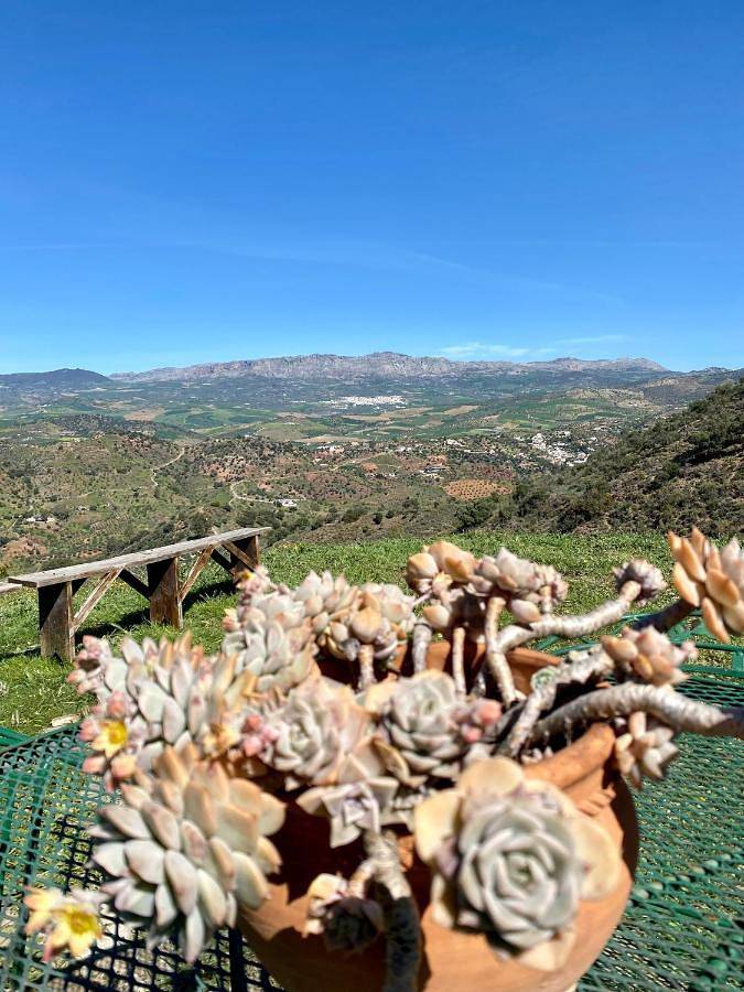 Casa rural para 6 personas, con Terraza y Jardín además de Piscina y Vistas en Almogía - 4