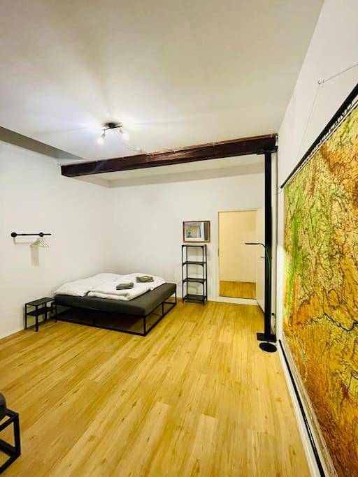Ganze Wohnung, Apartment in Braunschweig, Braunschweig und Umgebung