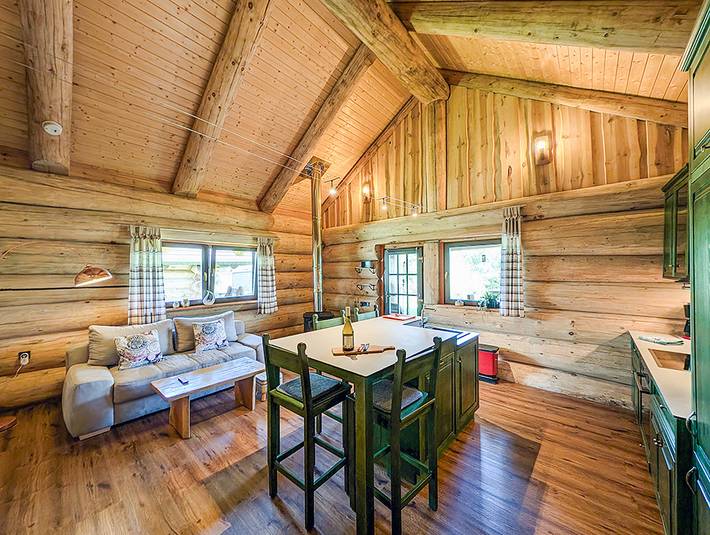 Ferienhaus für 3 Personen, mit Terrasse und Garten sowie Sauna in Groß Nemerow - 2