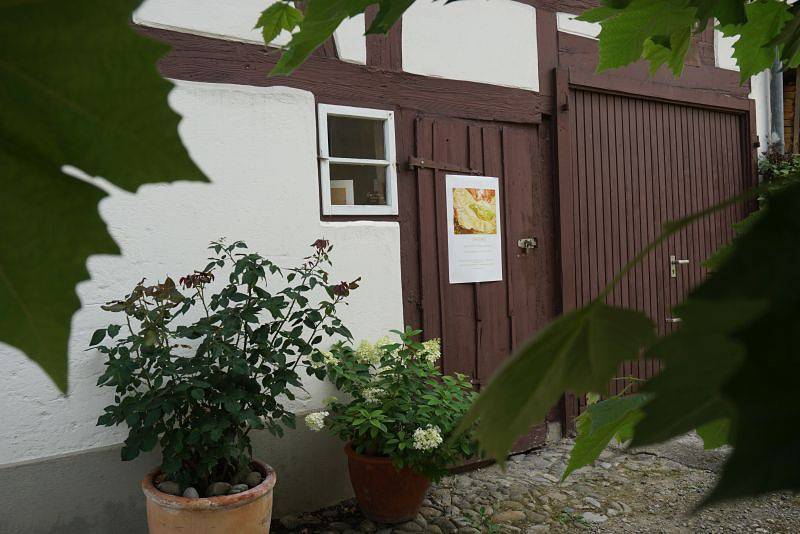 Ganze Ferienwohnung, Bild-raum-kunst - 2,5 Zimmer-Fewo, Freisitz, 60qm, Dg in Gaienhofen, Untersee