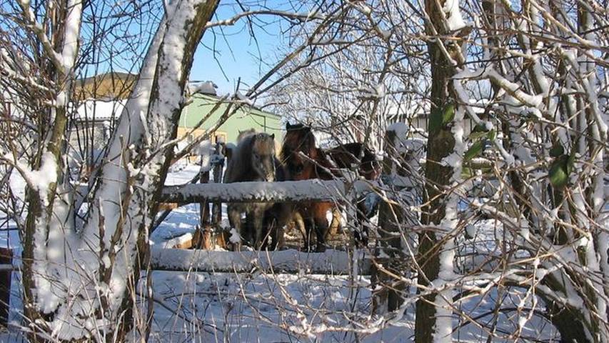 Ferienhaus für 5 Personen, mit Garten und Whirlpool sowie Sauna in Ahneby