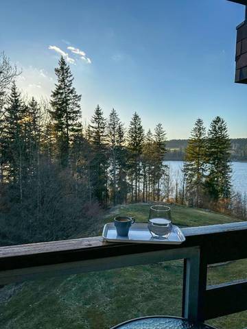 Gîte pour 2 personnes, avec terrasse et vue, animaux acceptés dans Lac de Saint-Point