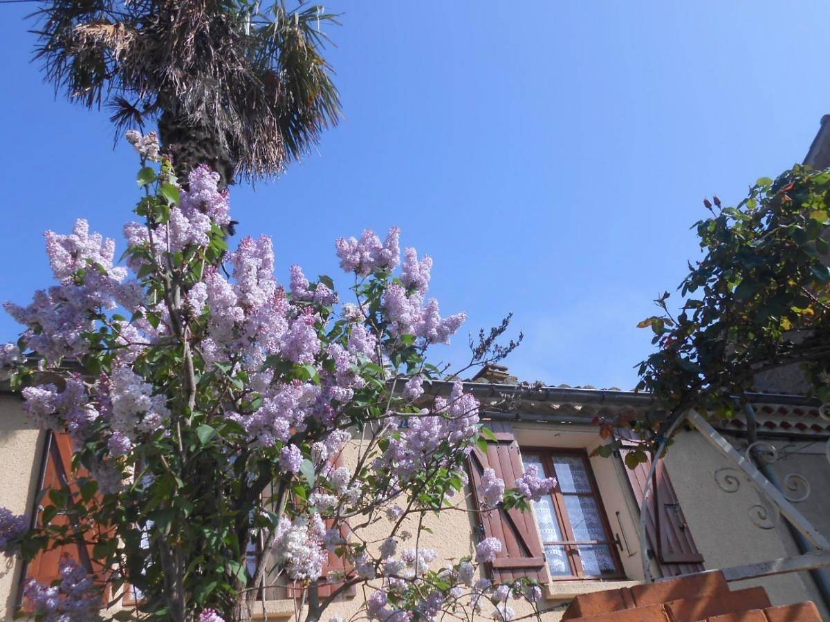 Maison Palmeral in Coustaussa, Parc naturel régional Corbières-Fenouillèdes