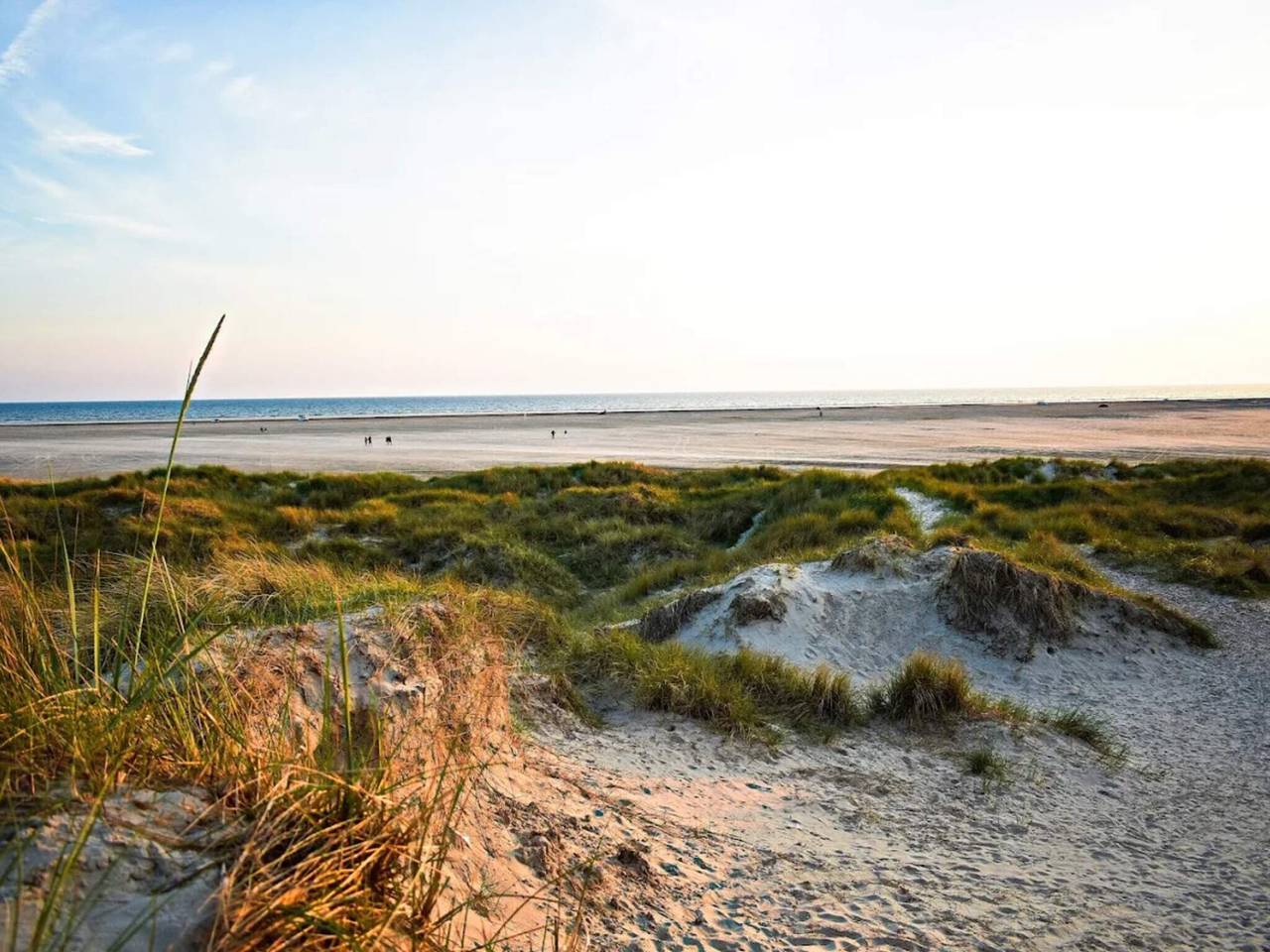 Hel lejlighed, 6 person feriebolig i Fanø in Nordby, Wadden Sea National Park