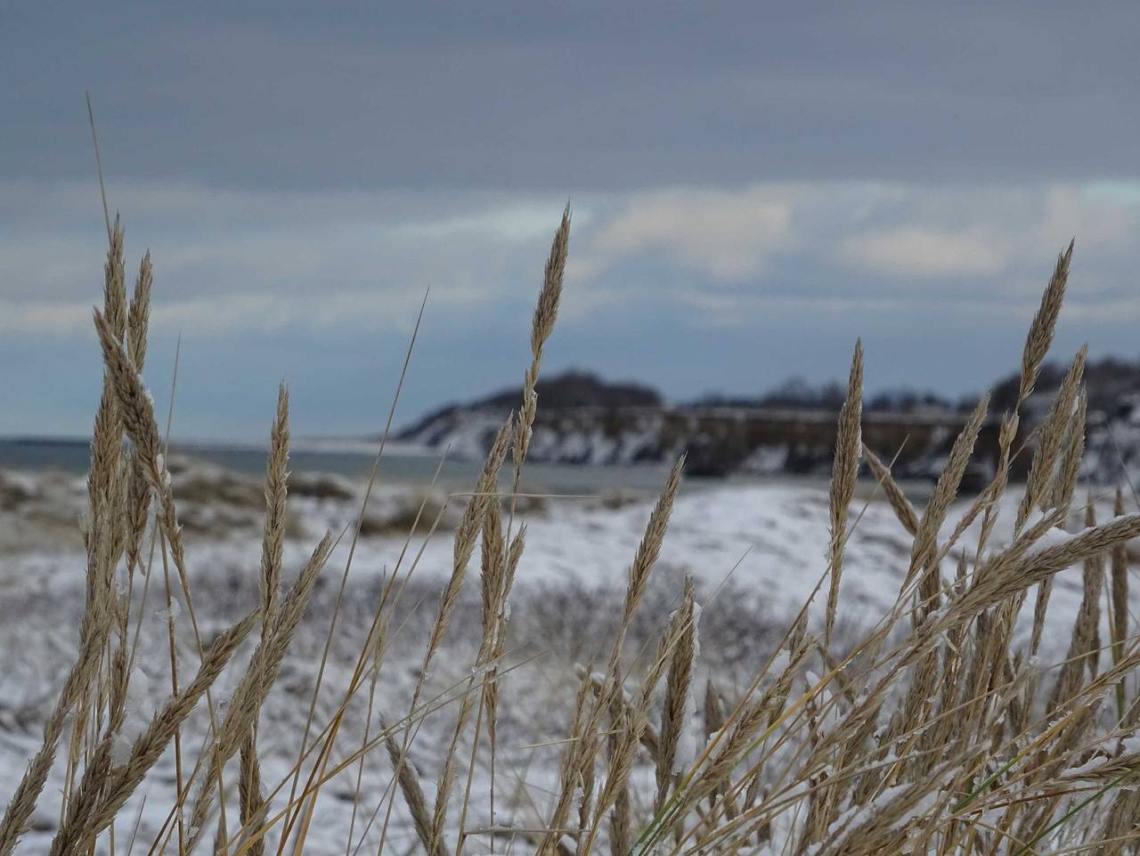 Ganze Ferienwohnung, Am Norderfeld Eg - Am Norderfeld Fw Eg in Wustrow, Fischland
