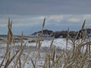 Ferienwohnung für 2 Personen in Wustrow, Fischland - Darß - Zingst, Bild 1