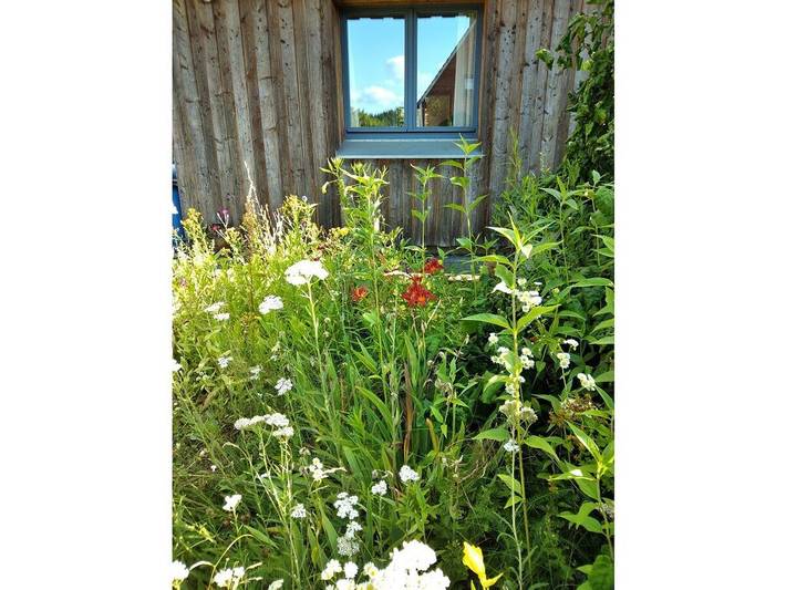 Ferienhaus für 7 Personen, mit Terrasse und Garten, mit Haustier in Wendland - 3