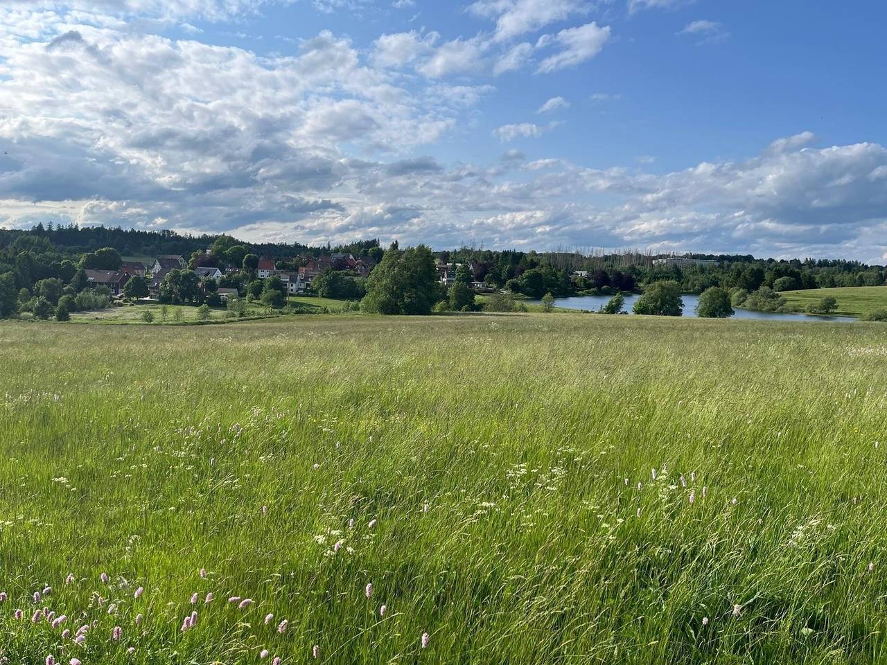Ganze Ferienwohnung, Ferienwohnung am Sumpfteich in Buntenbock, Harzvorland