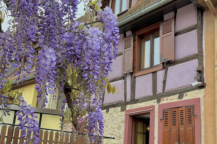 Maison de vacances pour 6 personnes, avec terrasse - 1