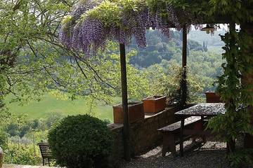 Agriturismo per 12 Persone in San Casciano in Val di Pesa, Chianti, Foto 3