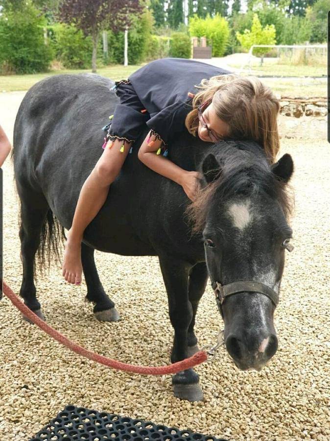 Location de vacances pour 7 personnes, avec terrasse et piscine à Parçay-les-Pins - 4
