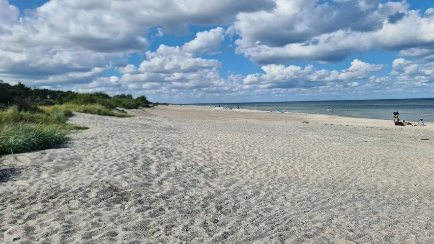 Ferienhaus für 7 Personen, mit Terrasse in Gedesby - 3