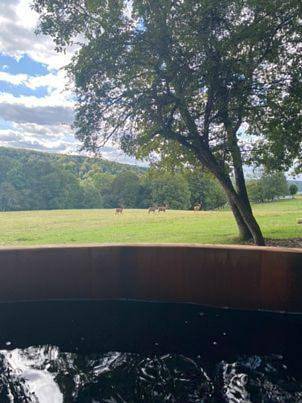 Maison d’hôte pour 5 personnes, avec jardin dans Parc national de forêts - 2