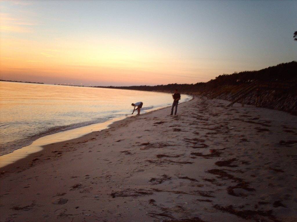 Finden Sie unberührte Naturschönheiten, langsameres Tempo und echte südländische Gastfreundschaft ... in Kiptopeke, Chesapeake Bay