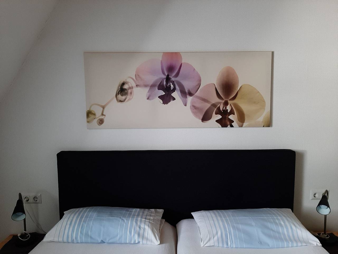 Ganze Ferienwohnung, Ferienwohnung Stricker B, Balkon in Walkenried, Harzvorland
